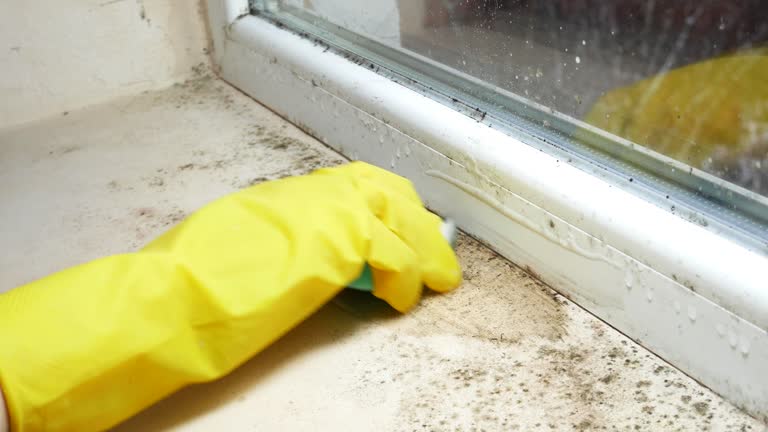 Mold Remediation for Rental Properties in Rockwell, AR